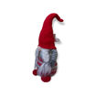 Picture of GNOME PIGTAILS BEARD WITH RED FELT HAT